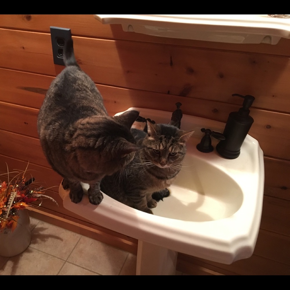 Meet your Posher, Deborah